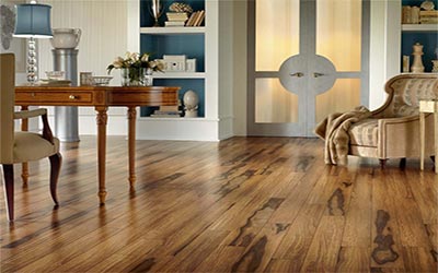 Sturdy Hardwood Flooring of Interior Concept